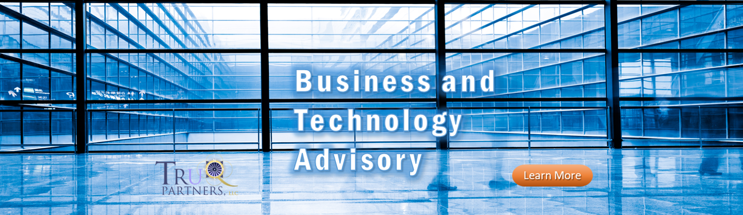 Business and Technology Advisory